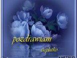 pozd