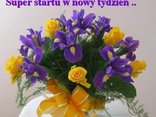 pozdrowienia