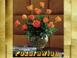 pozdrowienia