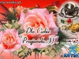 pozdrowienia