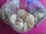 Pozdrowienia :-)
