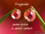 Przyjaciele - jedna dusza w dwóch ciałach.