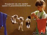 Przyjażń