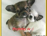 Przytulmy się