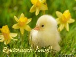 Radosnych Świąt!