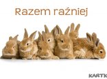 Razem raźniej