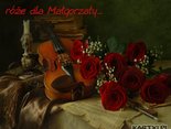Róże dla Małgorzaty