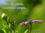 Serdecznie pozdrawiam
