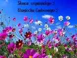 Slonecznego dnia zycze 