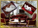 Spójż  w moje oczy...