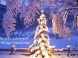 Szczęśliwych i Zdrowych Świąt Bożego Narodzenia!