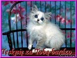 Tęsknię za Tobą bardzo