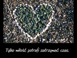 Tylko miłość potrafi zatrzymać czas.