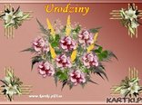 Urodziny dziś są Twe