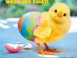 Wesołego kurczaczka!