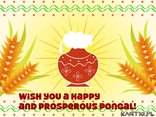 Wish you a happy and prosperous Pongal!