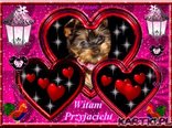 Witaj Przyjacielu 