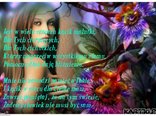 witam