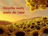 Wszystkie kwiaty świata dla Ciebie