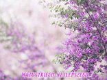 WSZYSTKIEGO NAJLEPSZEGO*