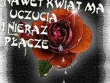 wybacz mi
