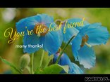 You are the best friend...many thanks