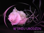* Z NAJLEPSZYMI ŻYCZENIAMI*