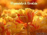 Z okazji Urodzin