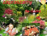 zapraszam