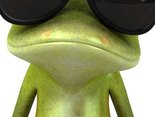 Fotolia_14660018_XL.jpg?1