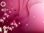 plant-2659-2560x1600.jpg