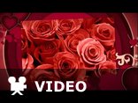 Happy Valentine's Day