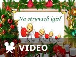 Na strunach igieł